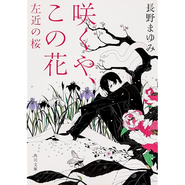 長野まゆみ　まとめ売り 41nSmWyeg9L.jpg